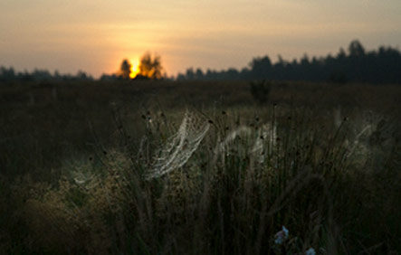 Gallery Photo 1