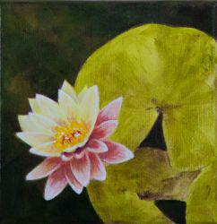 Gallery Photo 1