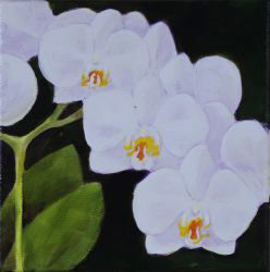 Gallery Photo 3