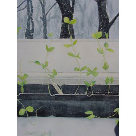 Gallery Photo 5