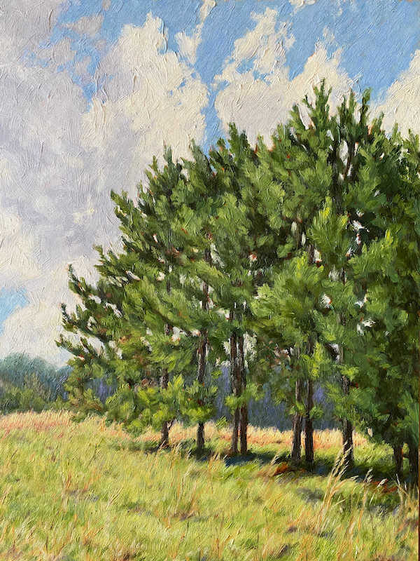 Gallery Photo 5