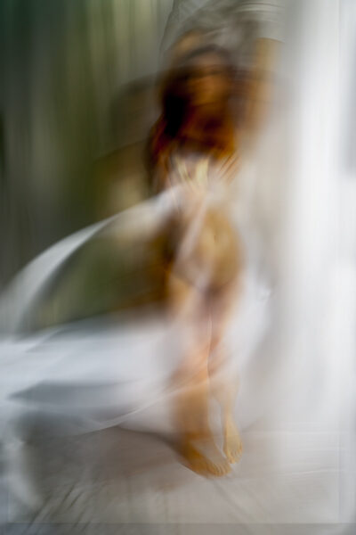Gallery Photo 5