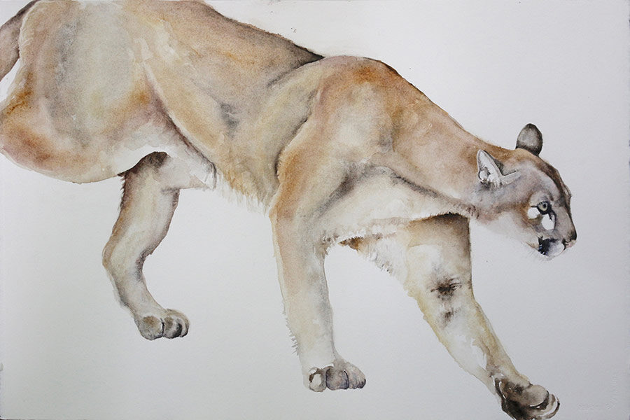 Gallery Photo 5