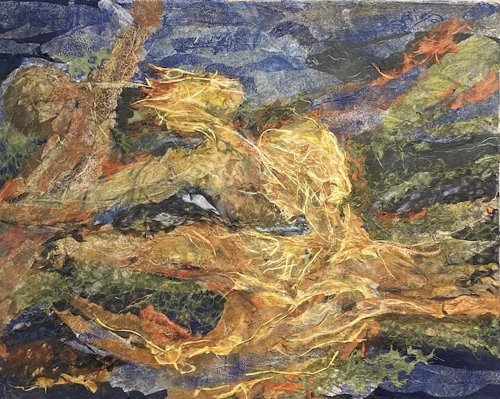 Gallery Photo 6