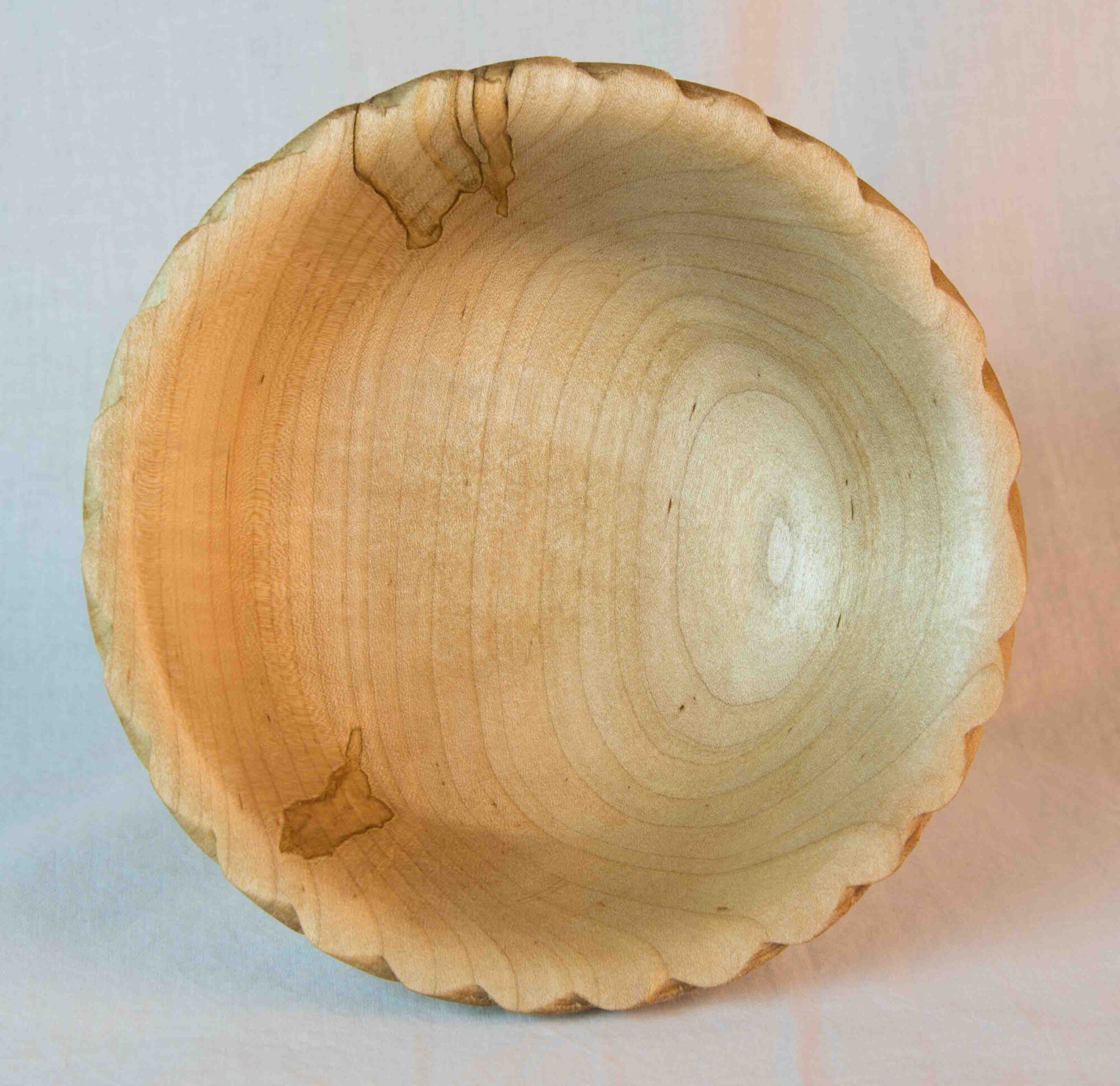 Gallery Photo 6