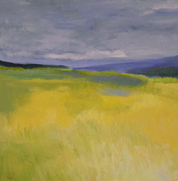 Gallery Photo 6