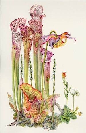 Gallery Photo 7
