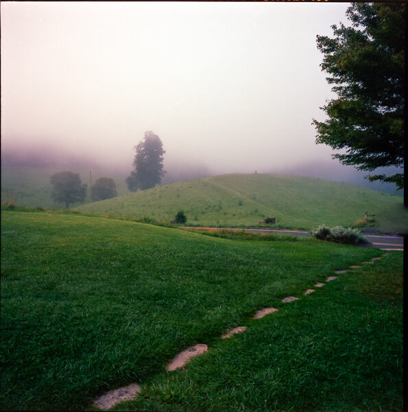Gallery Photo 7