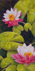 Gallery Photo 9
