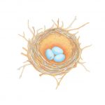 Robin's Nest by Clay Carmichael