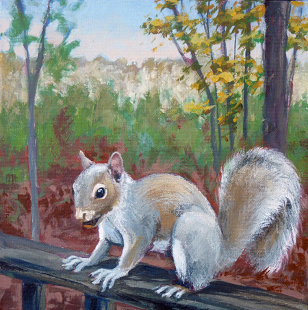 Squirrel IV