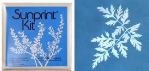 Sunprint Kit