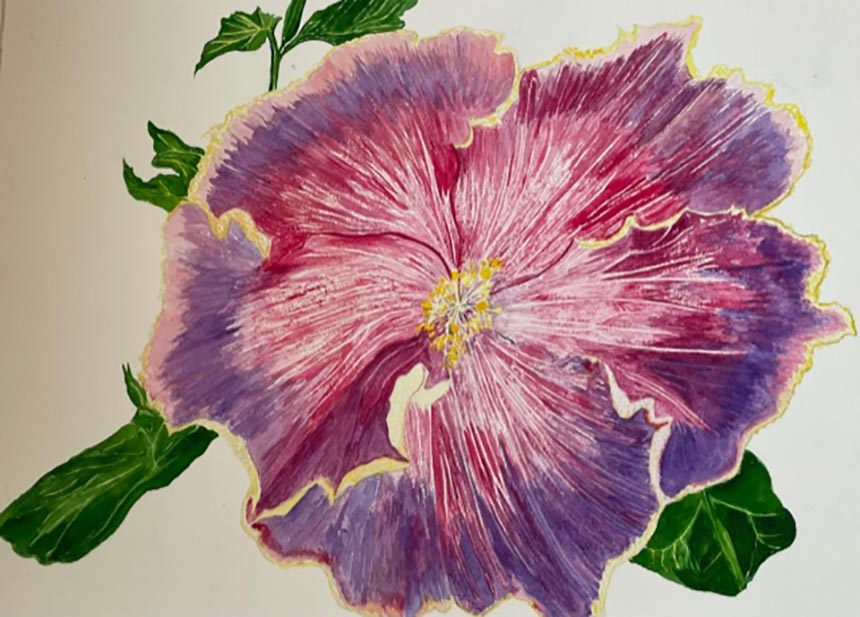 Painting of a hibiscus flower in purples and pinks