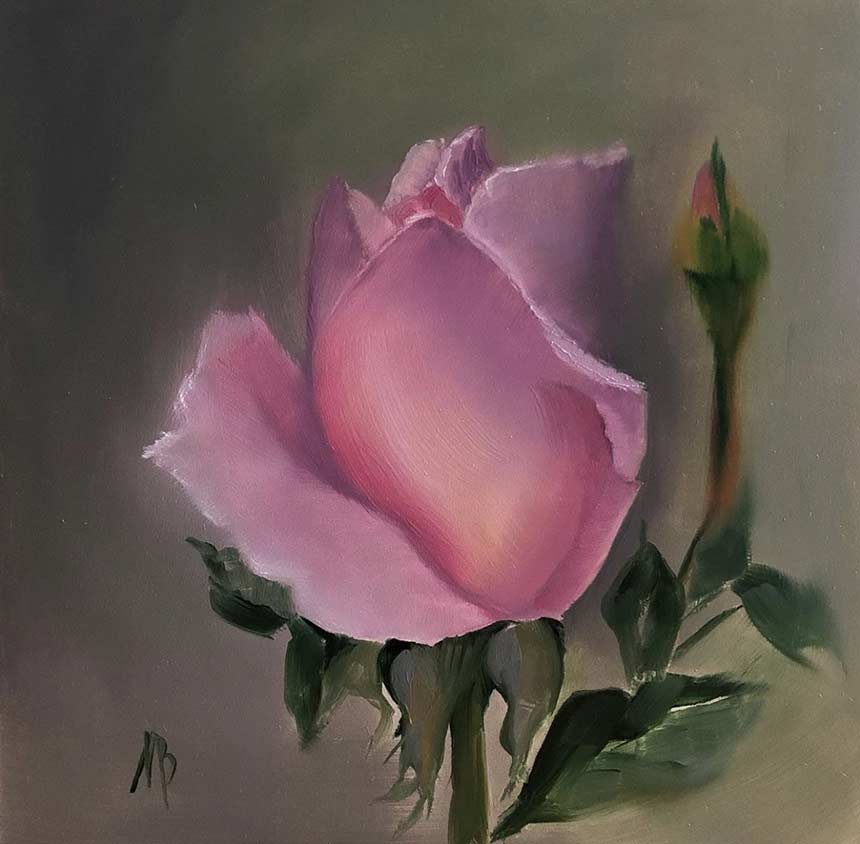 Painting of a pink rose by Maya Barton