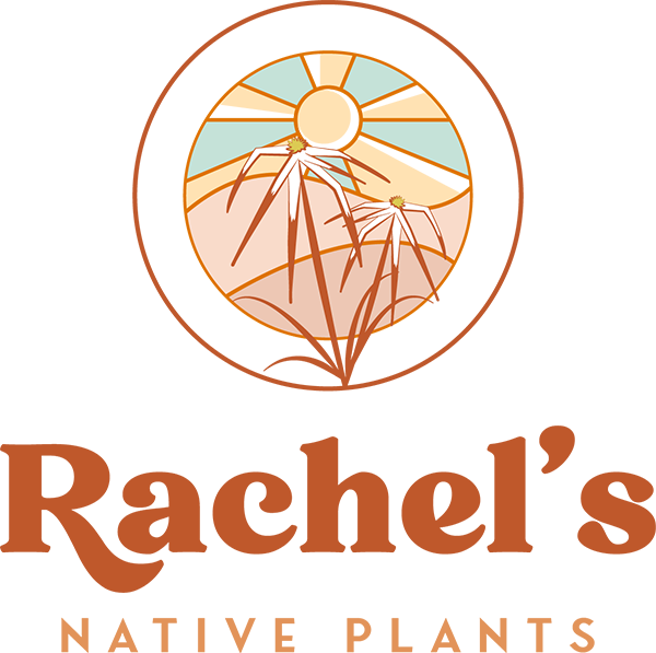 Rachels Native Plants Logo - Burnt orange serif type with sun and flowers circle illustration above